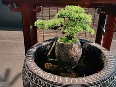 -阜昌典当行(阜成门店)