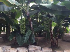 -南通洲际绿博园