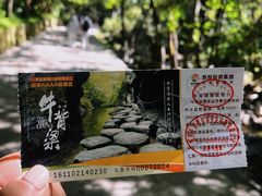 -牛背梁国家森林公园