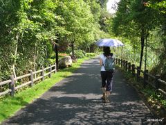 -千岛湖龙川湾