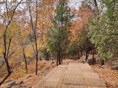 -北京十三陵国家森林公园蟒山景区
