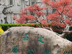 -嘉定紫藤园