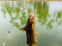 -北运河水利风景区