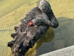 -杭州师范大学(下沙校区)