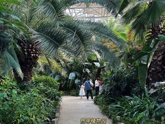 -祥源·阜阳生态乐园