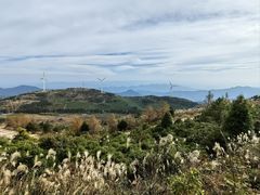 -东白山