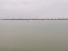 -大湾区中央湿地公园