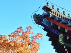 -香山公园