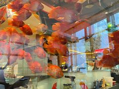 -怡咖啡海鲜自助餐厅(浦东香格里拉店)
