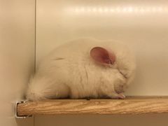 -龙猫仔乐园(惠福东路店)