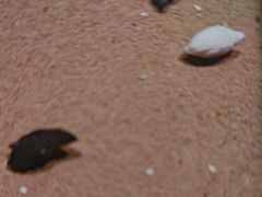 -正佳雨林生态植物园