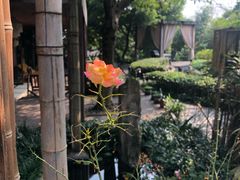 -峨眉山报国寺