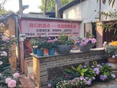 -园林美食城·本土农家菜(杨和镇店)