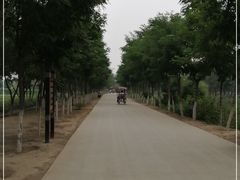 -西青郊野公园