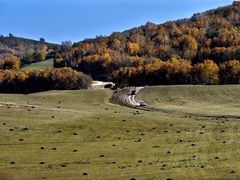 -塞罕坝国家级自然保护区