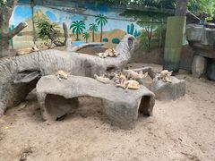 -上海野生动物园
