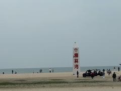 -东郊椰林