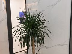 -诺贝尔一诺口腔医院(雁塔院区)