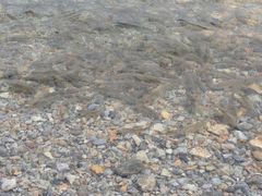 iphone_upload_pic-雅鲁藏布江