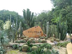 -深圳仙湖植物园