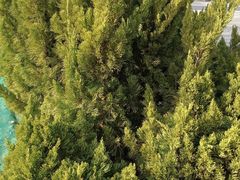 -南通博物苑-崇川人民公园