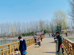 -东郊湿地公园