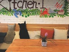 -Kitchen·Y洋厨房西餐厅(王府壹号店)