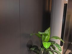-梵猫·新养生(鹭江大同店)