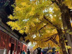 -红螺寺