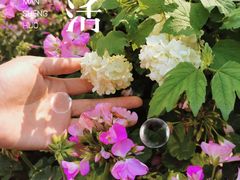 -人民公园(罗湖区)