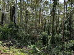 -水濂山森林公园