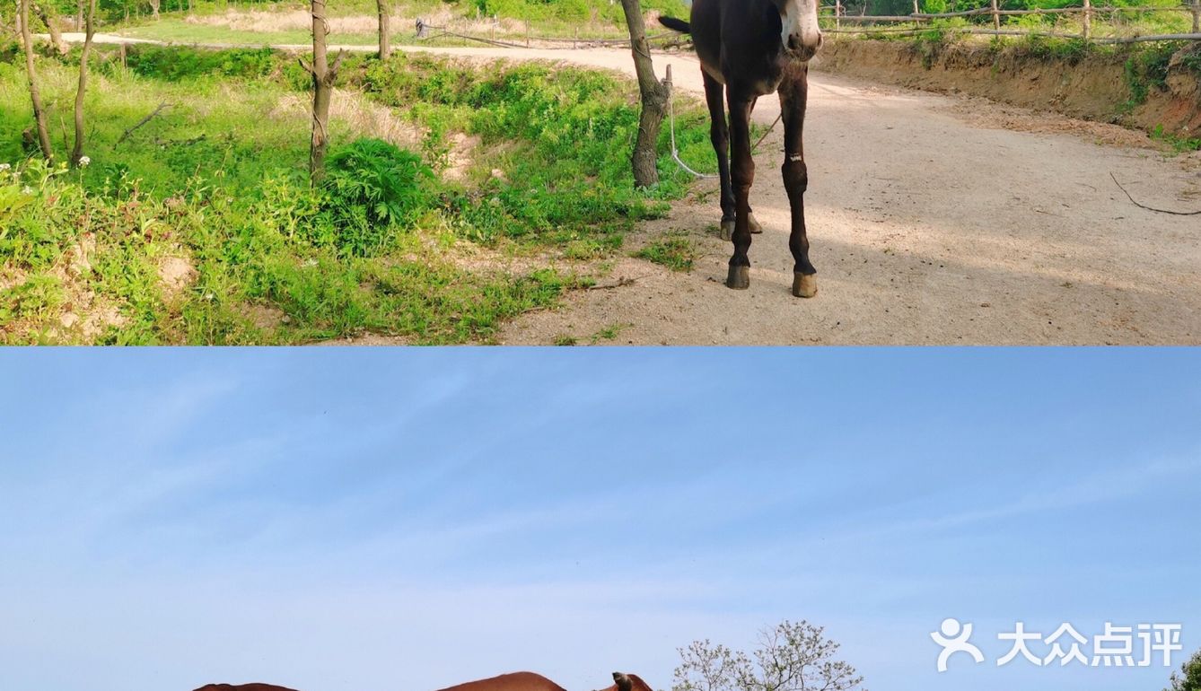 信阳商城县，旅行好地方～
