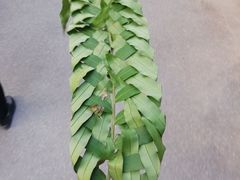 -火炉山森林公园