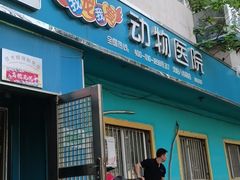 -瑞派宠物医院·内科·软组织·绝育中心(沈阳八纬路分院)
