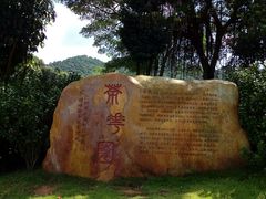-广州市帽峰山景区