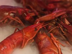 -红盔甲·小龙虾(车公庙店)