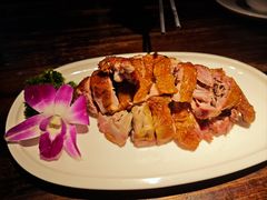 -陈麻婆豆腐(旗舰店)