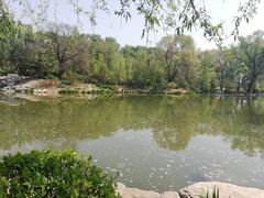 -晋祠公园