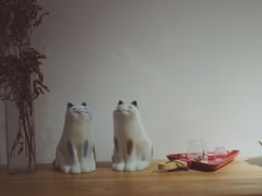 -猫里有甜