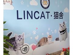 -lincat·猫舍(广州店)