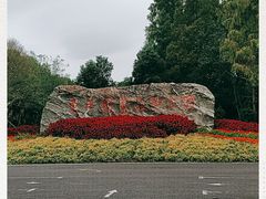 -东平国家森林公园
