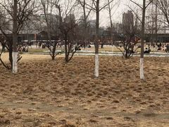 -汉长安城未央宫国家考古遗址公园