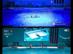 -石家庄极地海洋世界