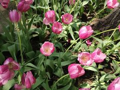 -长春公园(普阳街道)