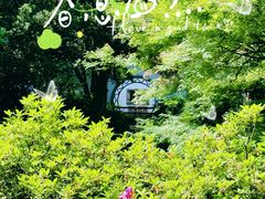 -杭州植物园