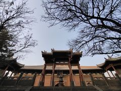 -善化寺
