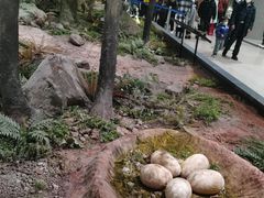 -湖南省地质博物馆