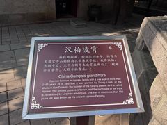 -青岛崂山太清宫