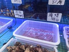 -小海丁