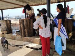 -尼甘布海鲜市场